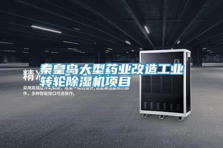 秦皇島大型藥業改造工業轉輪91看片网站項目
