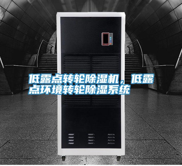 低露點轉輪91看片网站，低露點環境轉輪除濕係統
