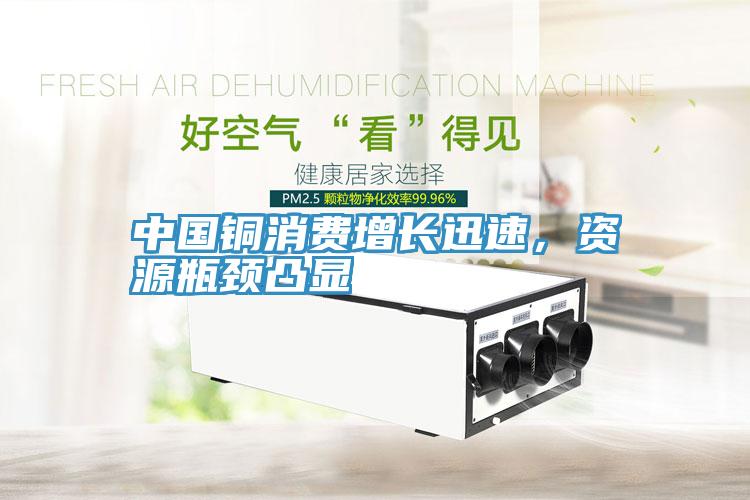 中國銅消費增長迅速，資源瓶頸凸顯