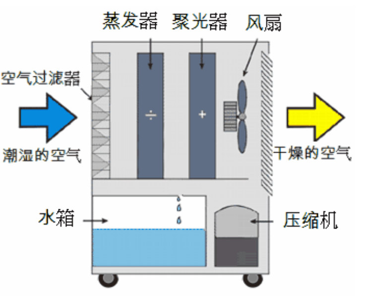 轉輪91看片网站啟動不正常的原因