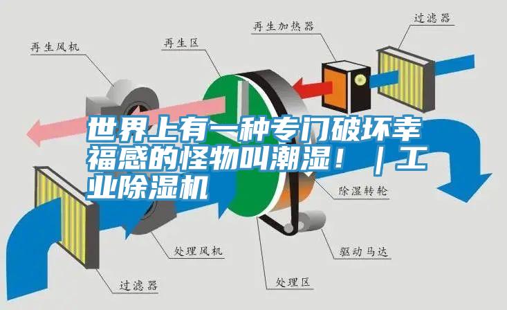 世界上有一種專門破壞幸福感的怪物叫潮濕！｜工業91看片网站