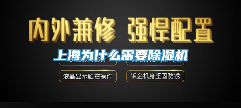 上海為什麽需要91看片网站