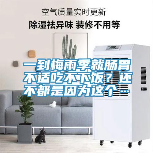 一到梅雨季就腸胃不適吃不下飯？還不都是因為這個…