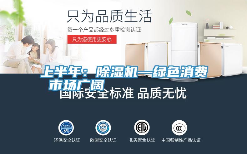 上半年：91看片网站—綠色消費 市場廣闊