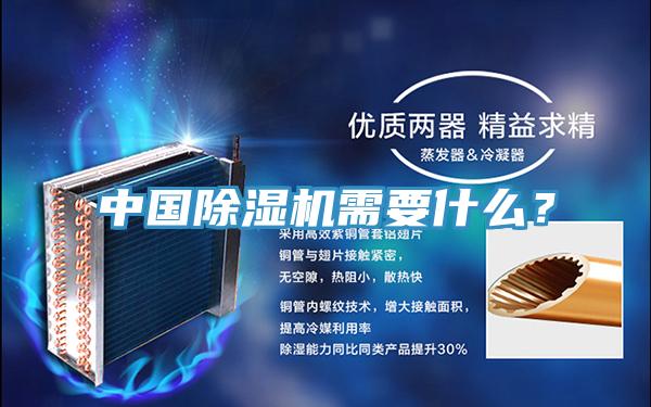 中國91看片网站需要什麽？