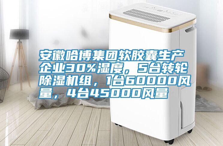 安徽哈博集團軟膠囊生產企業30%濕度，5台轉輪91看片网站組，1台60000風量，4台45000風量
