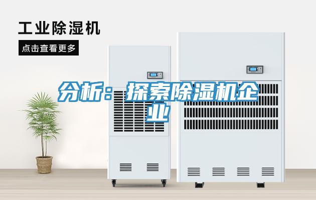 分析：探索91看片网站企業