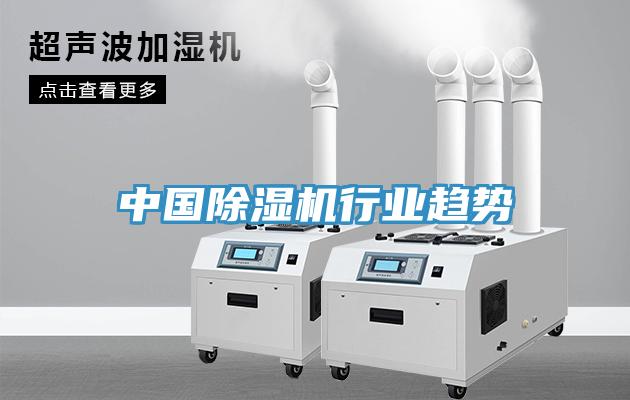 中國91看片网站行業趨勢