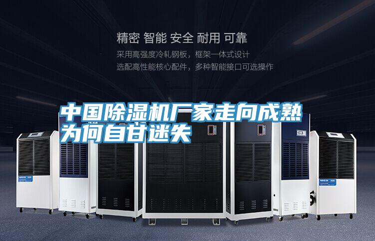 中國91看片网站廠家走向成熟 為何自甘迷失