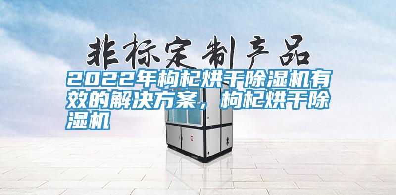 2022年枸杞烘幹91看片网站有效的解決方案，枸杞烘幹91看片网站