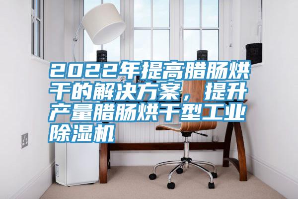 2022年提高臘腸烘幹的解決方案，提升產量臘腸烘幹型工業91看片网站