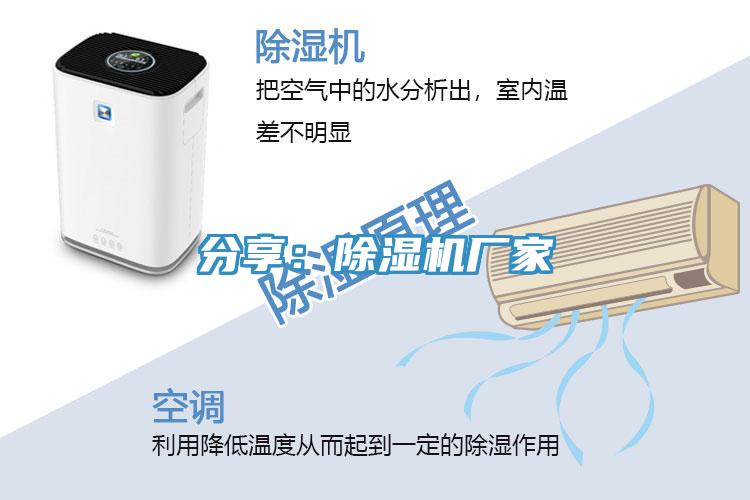 分享：91看片网站廠家