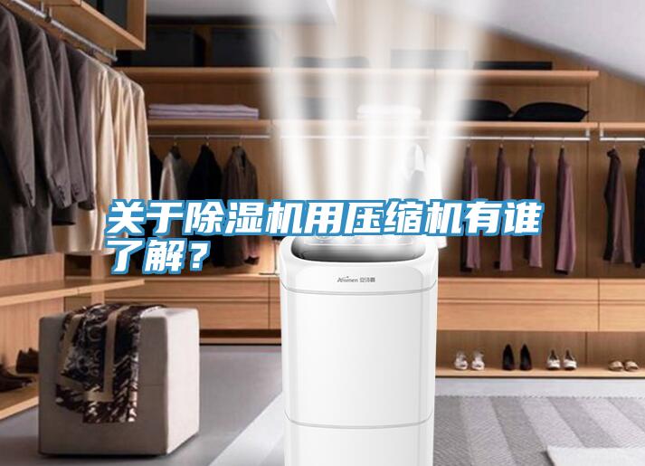 關於91看片网站用壓縮機有誰了解？