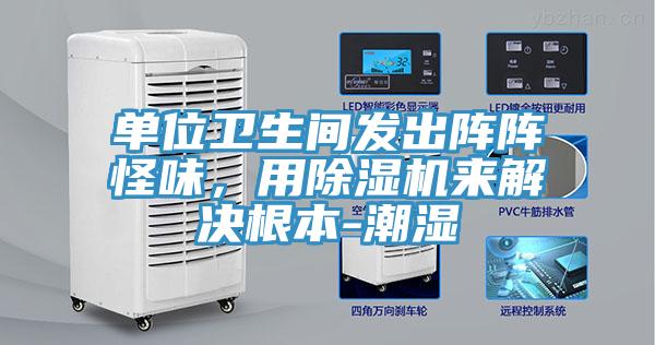 單位衛生間發出陣陣怪味，用91看片网站來解決根本-潮濕