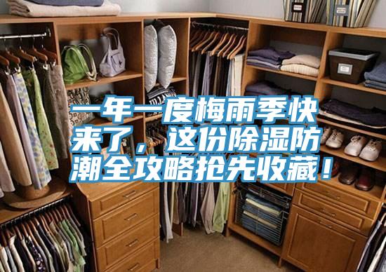 一年一度梅雨季快來了，這份除濕防潮全攻略搶先收藏！