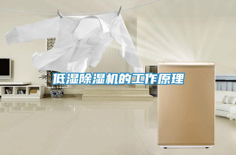 低濕91看片网站的工作原理
