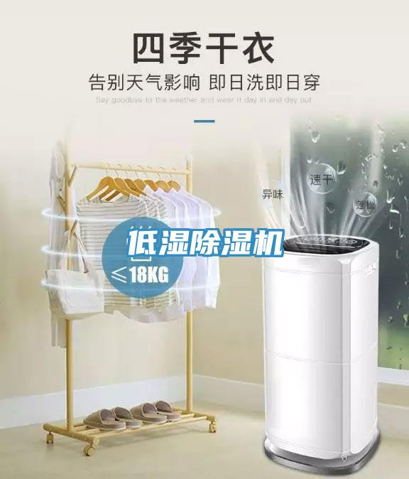 低濕91看片网站