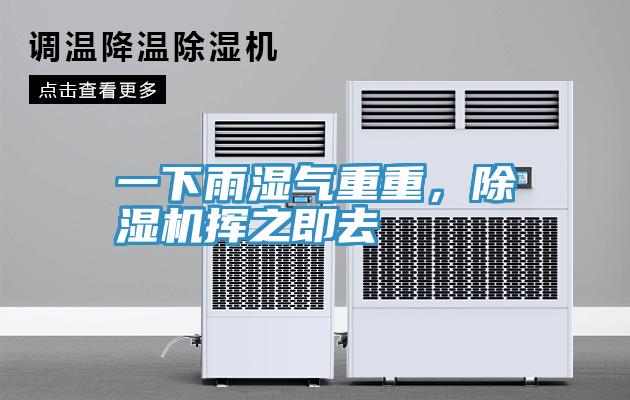 一下雨濕氣重重，91看片网站揮之即去