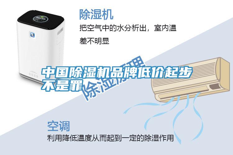 中國91看片网站品牌低價起步不是罪