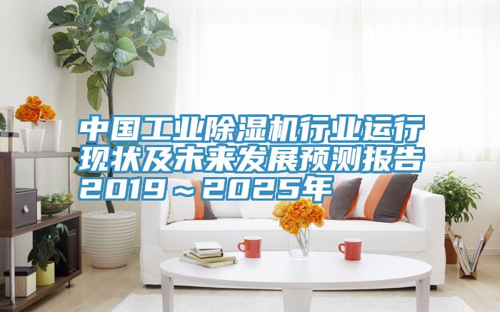 中國工業91看片网站行業運行現狀及未來發展預測報告2019～2025年