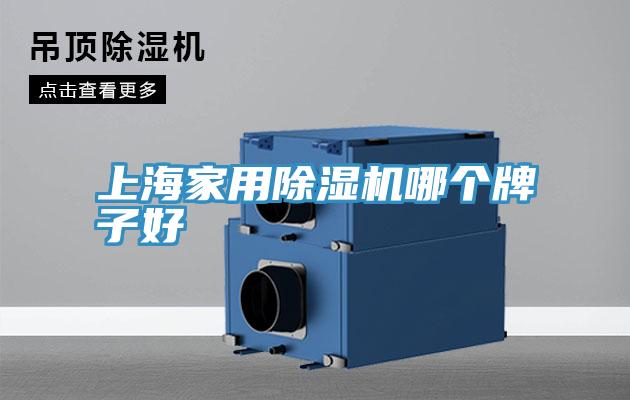 上海家用91看片网站哪個牌子好