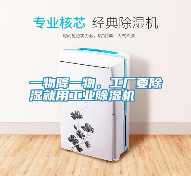 一物降一物，工廠要除濕就用工業91看片网站