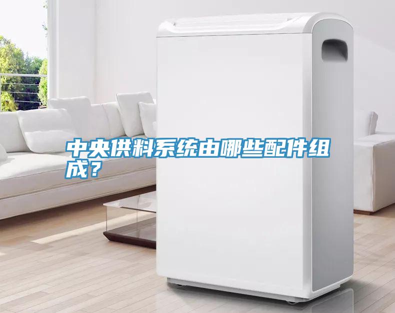中央供料係統由哪些配件組成？