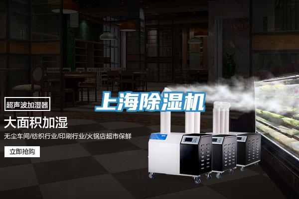 上海91看片网站