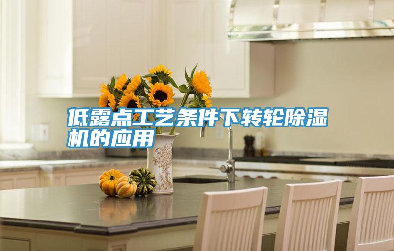 低露點工藝條件下轉輪91看片网站的應用