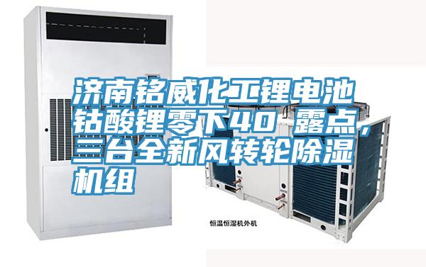 濟南銘威化工鋰電池鈷酸鋰零下40℃露點，三台全新風轉輪91看片网站組