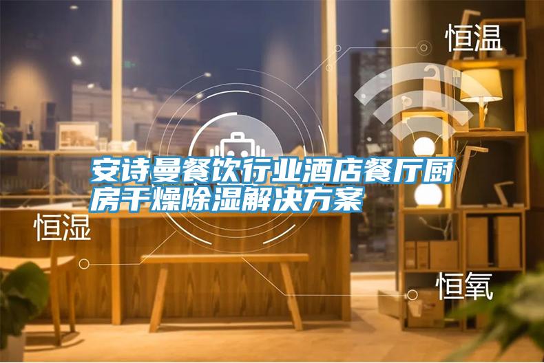 91看片免费下载餐飲行業酒店餐廳廚房幹燥除濕解決方案