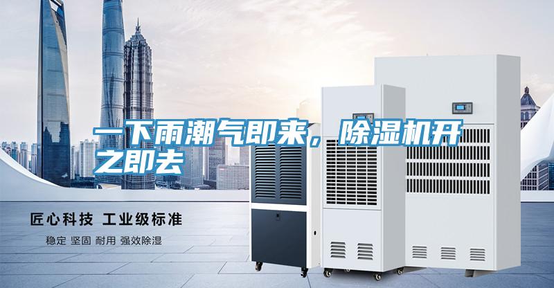 一下雨潮氣即來，91看片网站開之即去