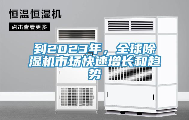 到2023年，全球91看片网站市場快速增長和趨勢