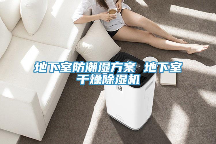 地下室防潮濕方案 地下室幹燥91看片网站
