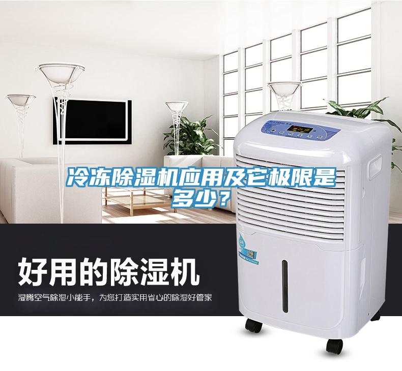 冷凍91看片网站應用及它極限是多少？