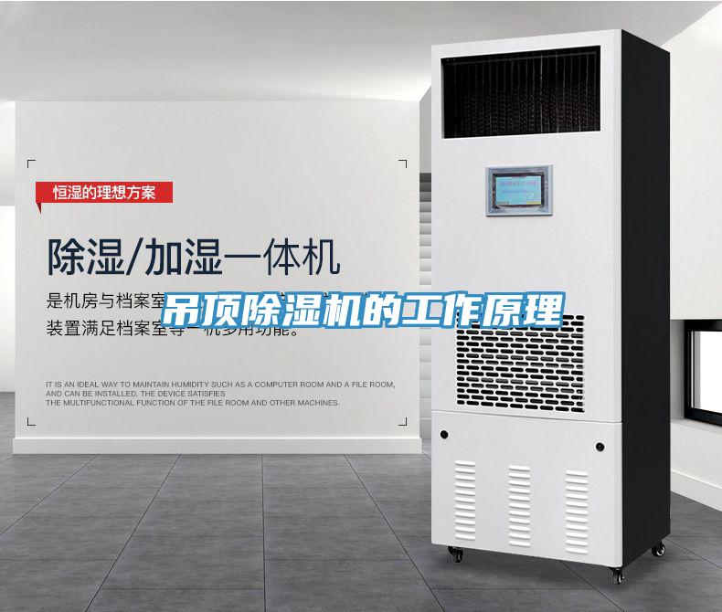 吊頂91看片网站的工作原理