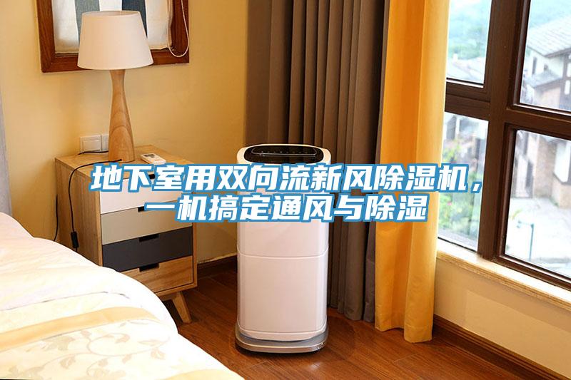 地下室用雙向流新風91看片网站，一機搞定通風與除濕