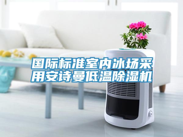 國際標準室內冰場采用91看片免费下载低溫91看片网站