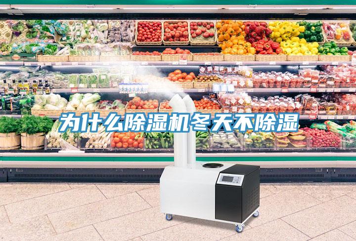 為什麽91看片网站冬天不除濕