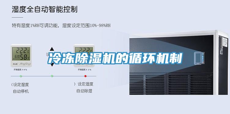 冷凍91看片网站的循環機製