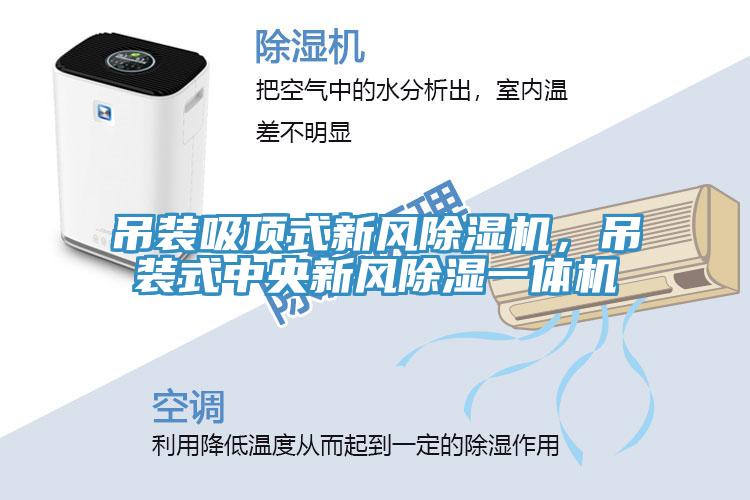 吊裝吸頂式新風91看片网站，吊裝式中央新風除濕一體機