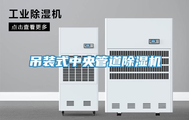 吊裝式中央管道91看片网站
