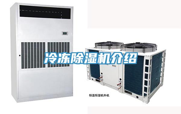 冷凍91看片网站介紹