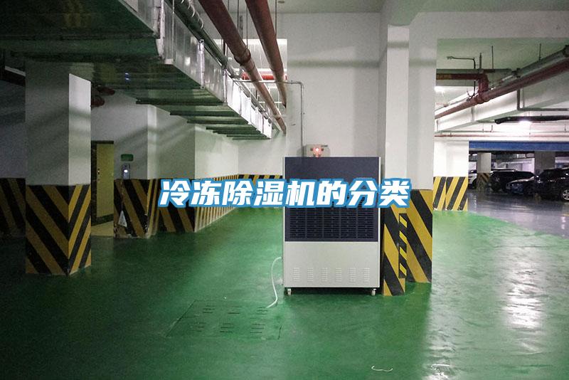 冷凍91看片网站的分類