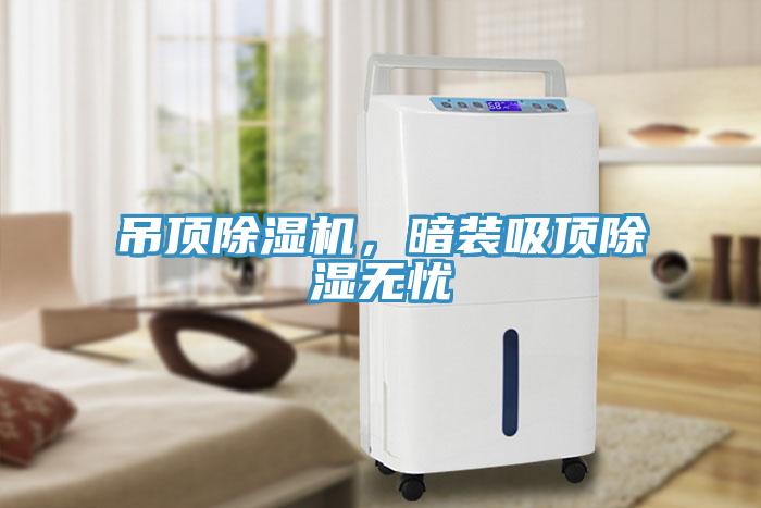 吊頂91看片网站，暗裝吸頂除濕無憂