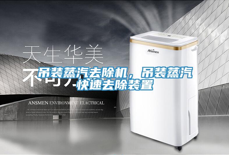 吊裝蒸汽去除機，吊裝蒸汽快速去除裝置