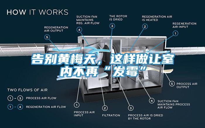 告別黃梅天，這樣做讓室內不再“發黴”