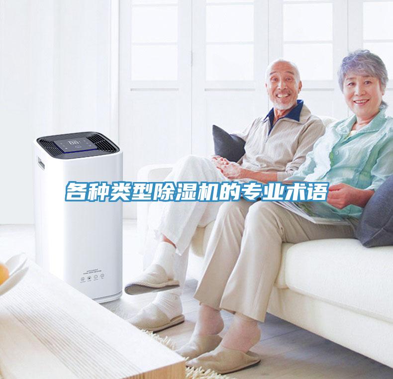 各種類型91看片网站的專業術語
