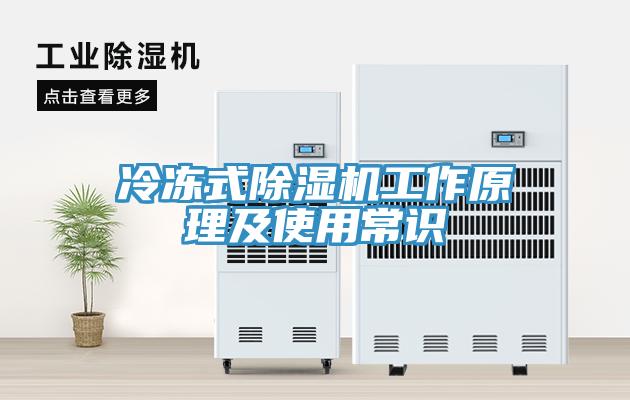 冷凍式91看片网站工作原理及使用常識