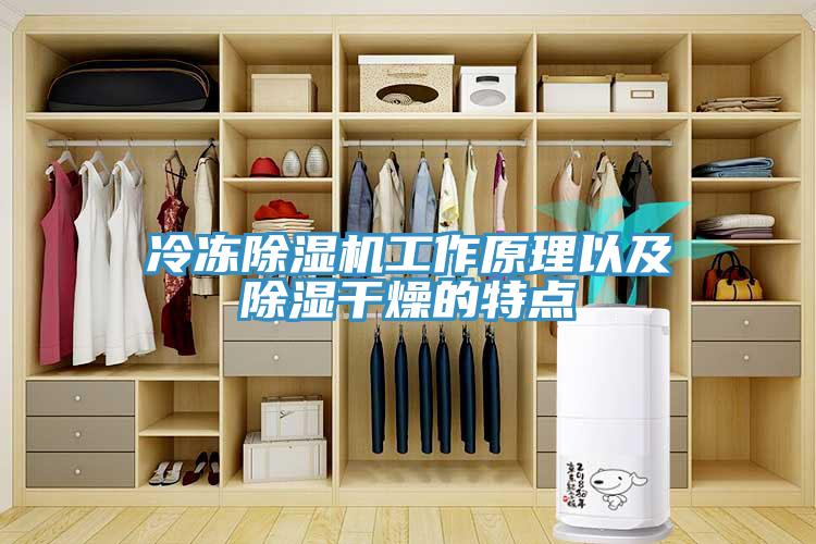 冷凍91看片网站工作原理以及除濕幹燥的特點